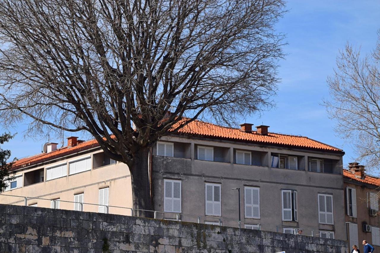 Apartment Corner Zadar Dış mekan fotoğraf